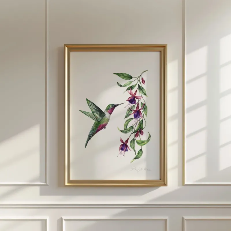 'Celeste' Hummingbird Fine Art Print