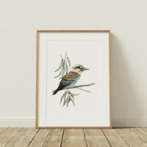 'Kleo' Laughing Kookaburra Fine Art Print