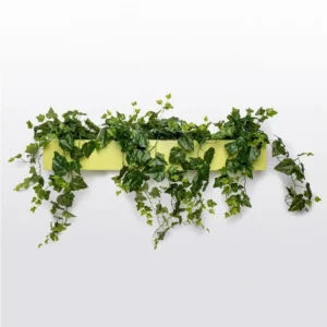 Gold Leaf Design Group Wall Planter Ivy, Green Wall | Green Wall | Modishstore